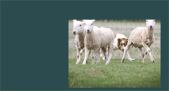 Desktop Screenshot of eweniquebordercollies.com